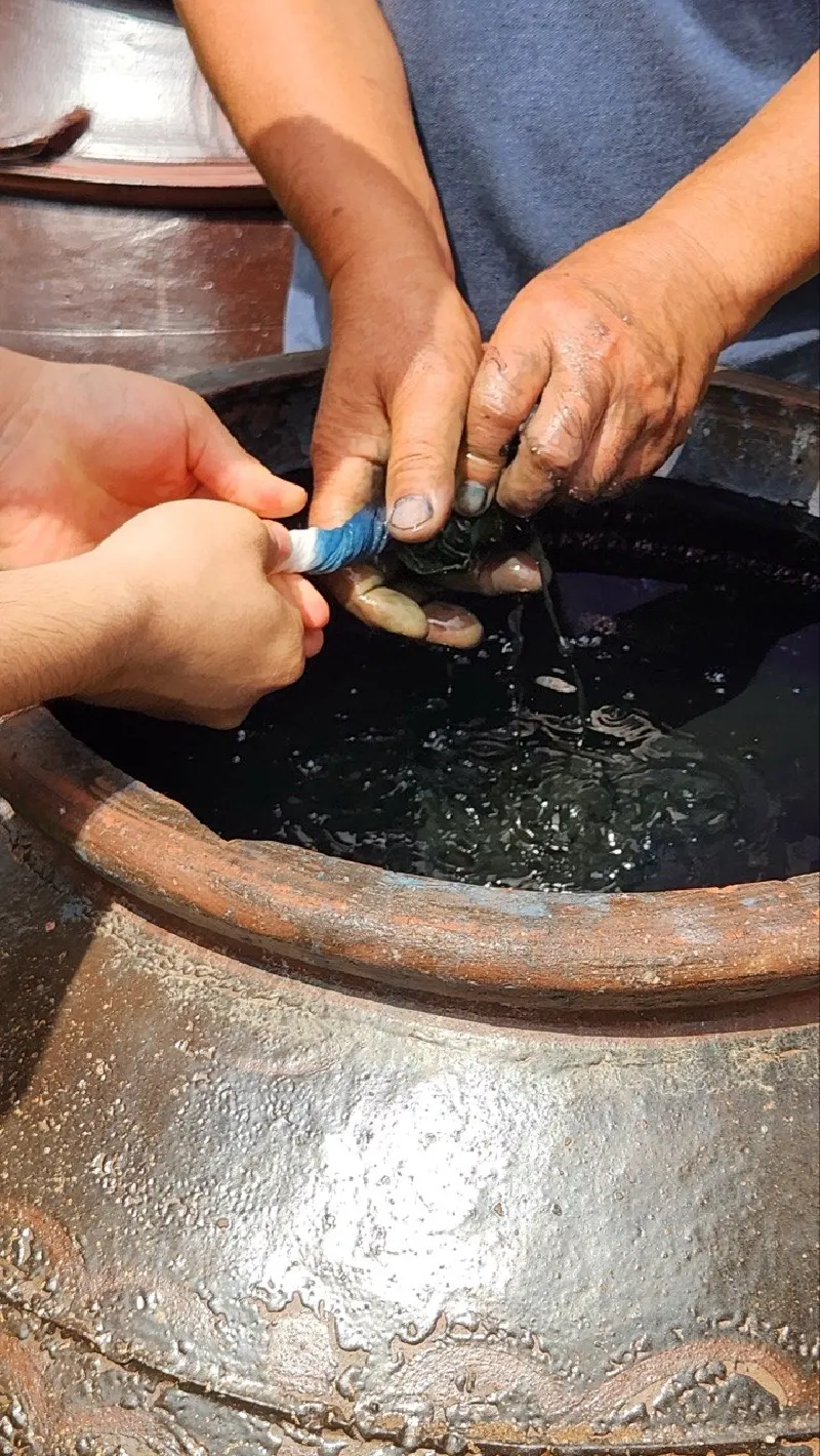 Hands squeezing cloth under the surface of the indigo vat