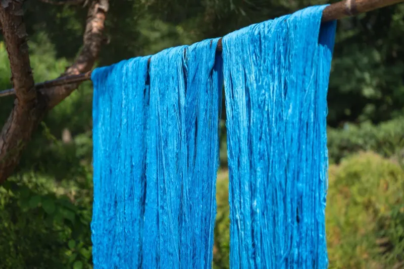 Pale blue silk dyed with fresh indigo leaves, hanging from a branch