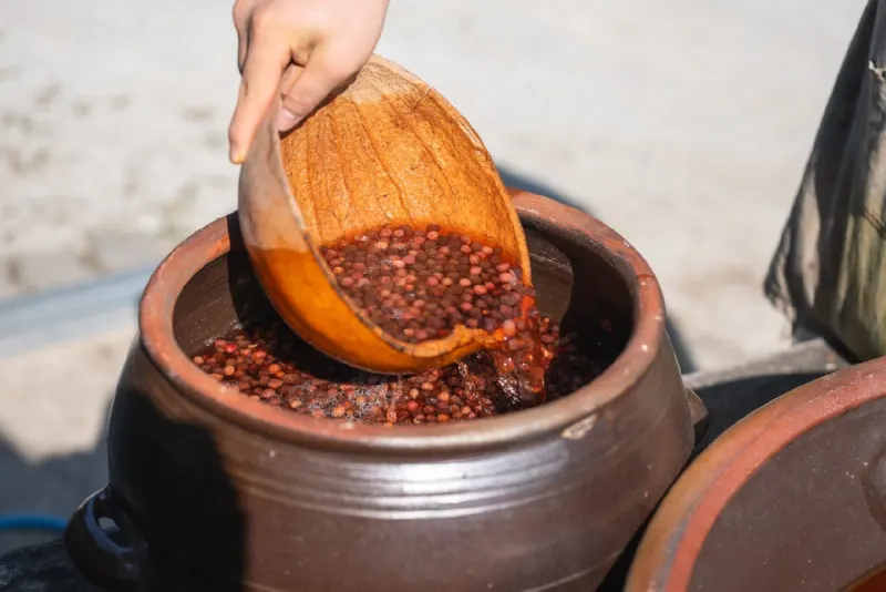 Pouring schisandra berries into an onggi jar