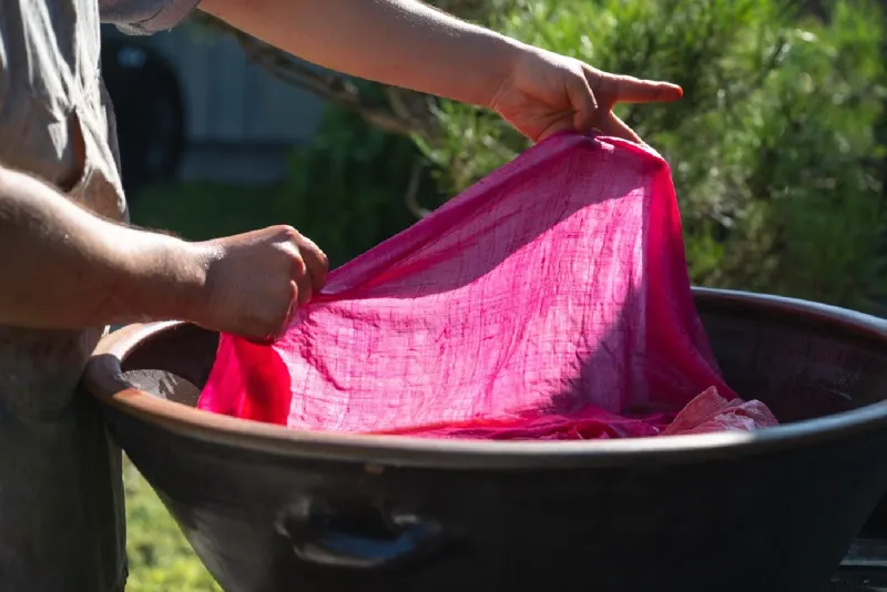 Lifting pink cloth from the basin to read the colour in the sun