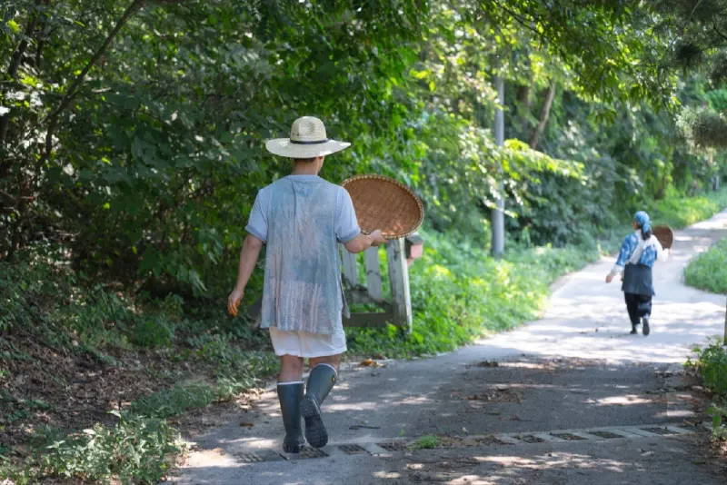 Walking back along a forest path with an empty basket