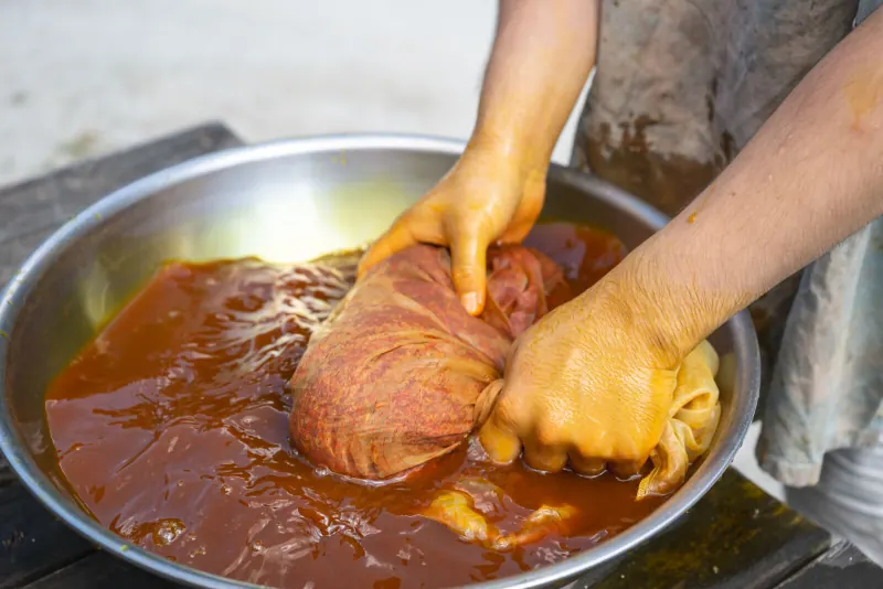 Hands kneading a cloth bundle of safflower in orange lye